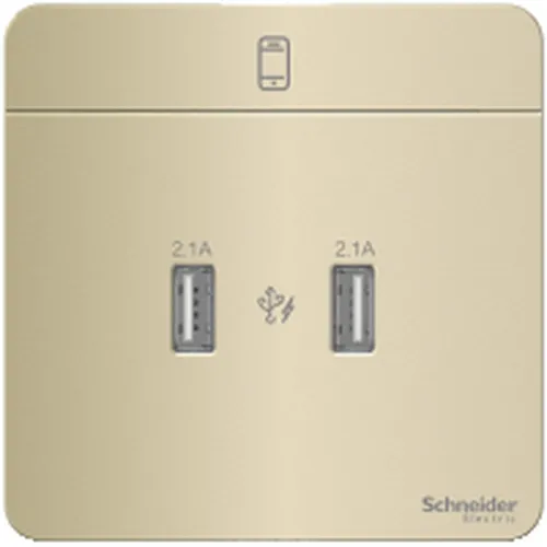 Bộ ổ sạc USB đôi 2.1A màu vàng ánh kim Schneider AvatarOn E8332USB_WG