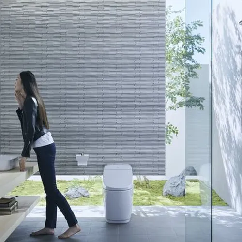 AL-2398VEC/FC/BW1-Vật liệu xây dựng (VLXD) hoàn thiện thiết bị vệ sinh chậu rửa đặt bàn Inax