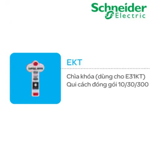Chìa Khóa (dùng cho E31KT_WE_C5) Schneider Concept EKT