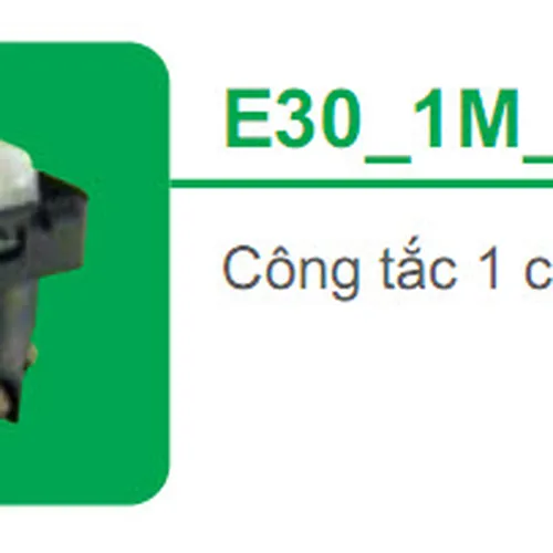 Công tắc 1 chiều 10A Schneider S-Classic E30_1M_D_G19