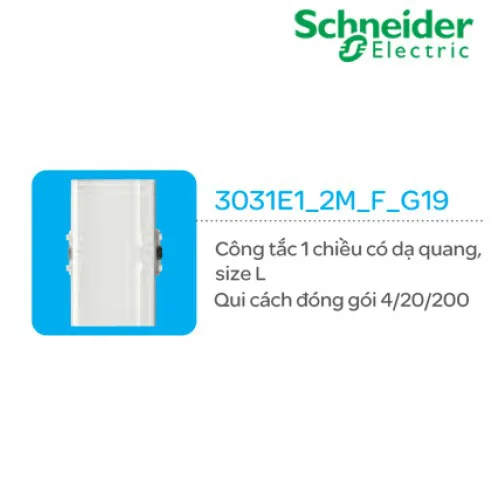 Công tắc 1 chiều có dạ quang size L Schneider Concept 3031E1_2M_F_G19