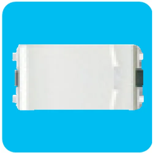 Công tắc 1 chiều có dạ quang size S Schneider Concept 3031_1_2M_F_G19