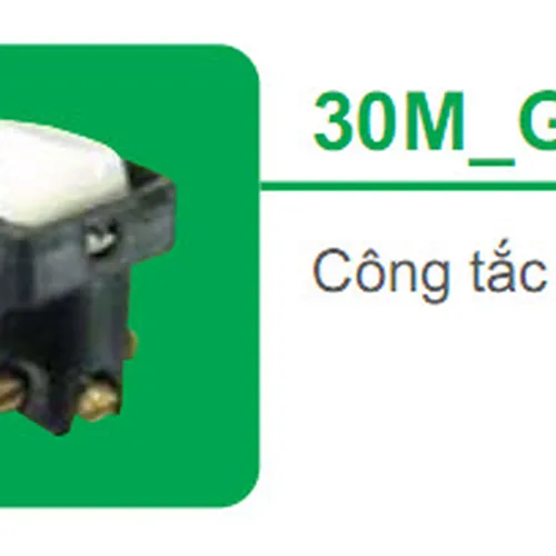 Công tắc 2 chiều Schneider S-Classic 30M_G19