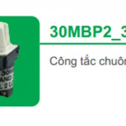 Công Tắc Chuông 3A Schneider S-Classic 30MBP2_3J_G19