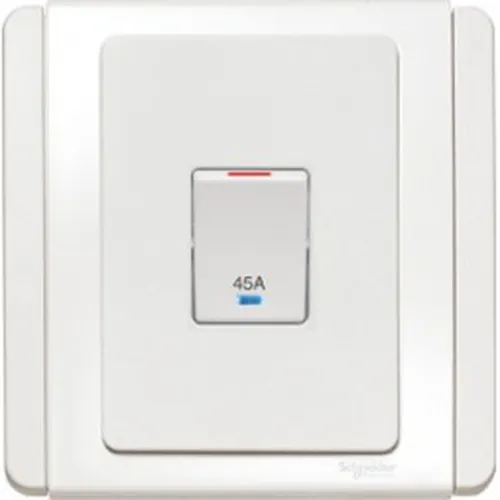 45A DP switch w.LED Schneider Neo Series White color E3031DR45_EWWW