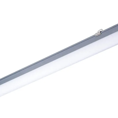 Máng đèn chống thấm Led Philips WT066C chiếu sáng nhà máy thuỷ sản
