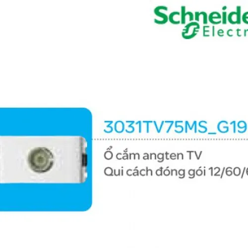 Ổ cắm angten TV Schneider Concept 3031TV75MS_G19
