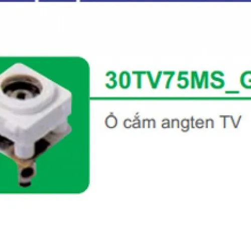 Ổ cắm angten TV Schneider S-Classic 30TV75MS_G19