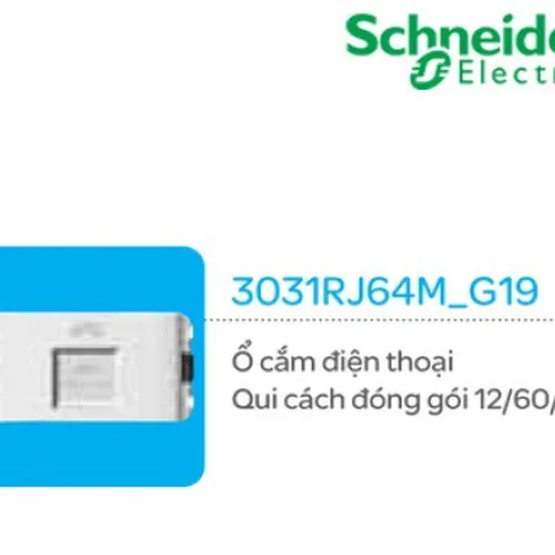 Ổ cắm điện thoại Schneider Concept 3031RJ64M_G19