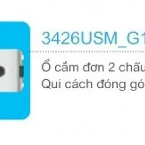 Ổ cắm đơn 2 chấu Schneider Concept 3426USM_G19