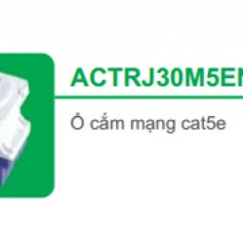 Ổ cắm mạng cat5e Schneider S-Classic ACTRJ30M5ENSUWE