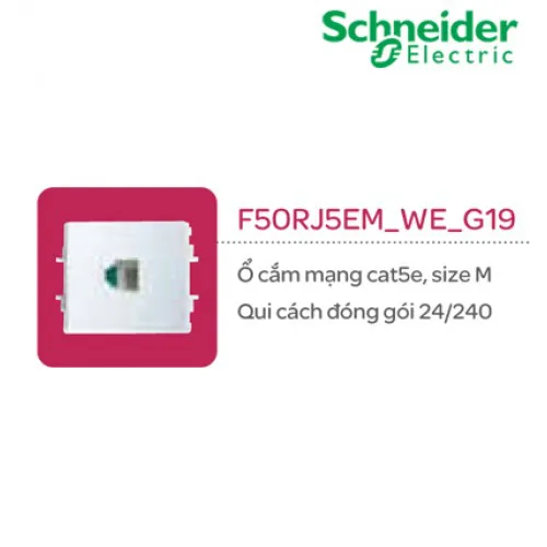 Ổ cắm mạng cat5e size M Schneider S - Flexi F50RJ5EM_WE_G19