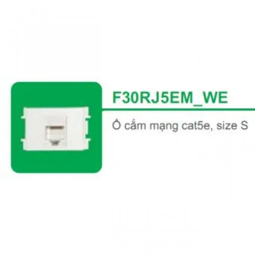 Ổ cắm mạng cat5e size S Schneider S - Flexi F30RJ5EM_WE_G19