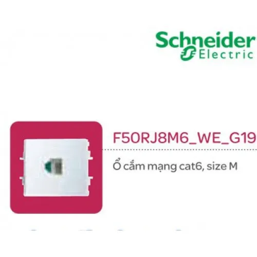 Ổ cắm mạng cat6 size M Schneider S - Flexi F50RJ8M6_WE_G19