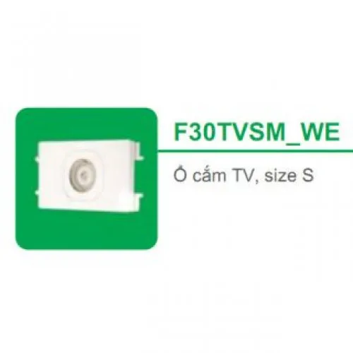 Ổ cắm tivi size S Schneider S - Flexi F30TVSM_WE_G19