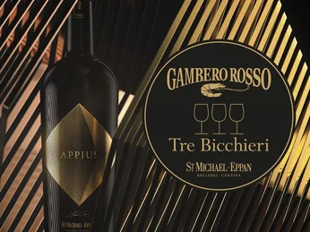 GAMBERO ROSSO - TRANG ĐÁNH GIÁ RƯỢU VANG UY TÍN SỐ 1 NƯỚC Ý