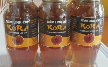 Tìm hiểu về Nấm linh chi