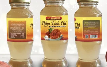 Câu chuyện sản phẩm: Thực phẩm bổ sung – Nấm linh chi Kora
