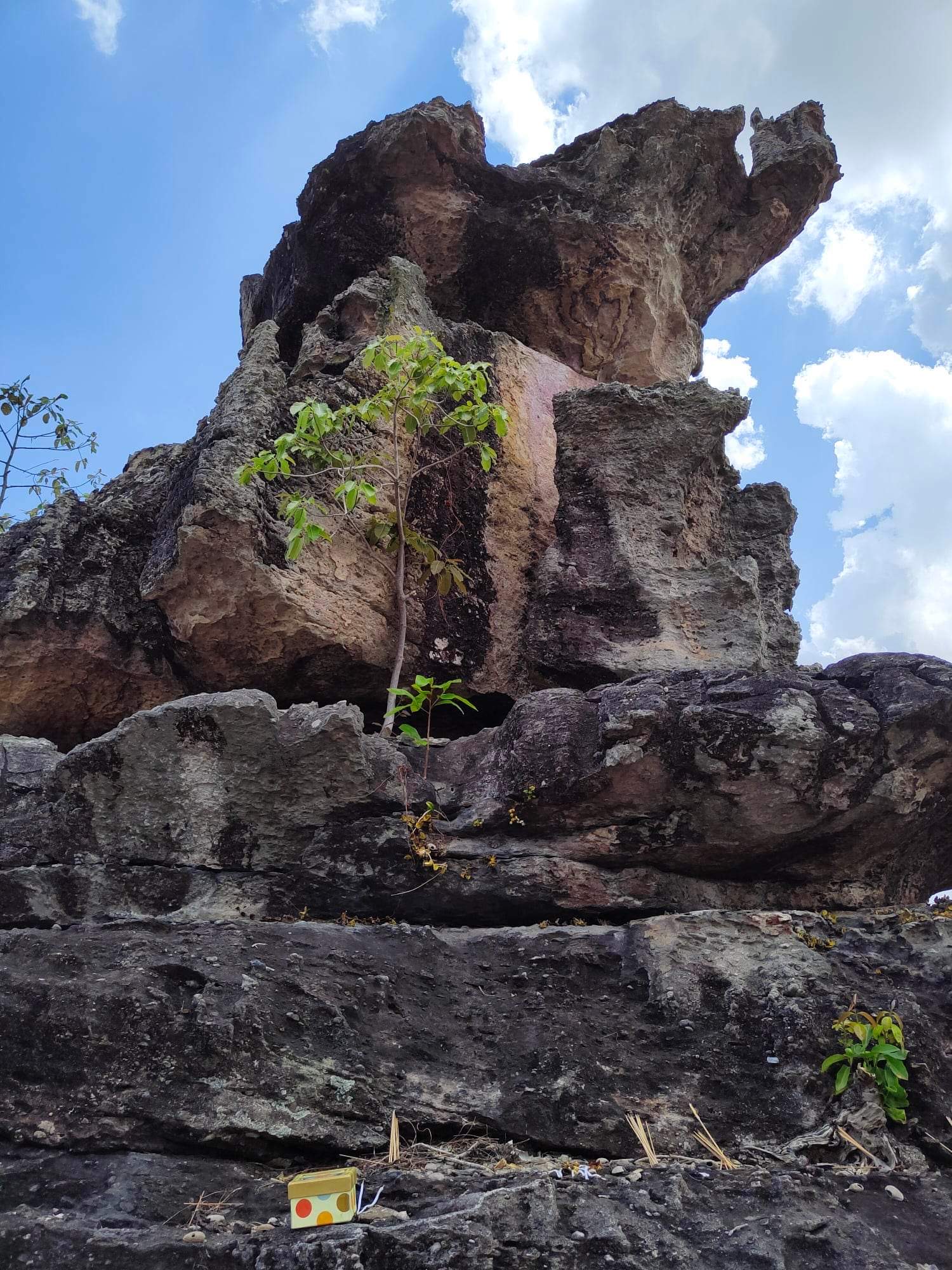 Đặt hộp chứa 9 ngọc Naga để nhận năng lượng của Chư Thiên Rồng Đặt hộp chứa 9 ngọc Naga để nhận năng lượng của Chư Thiên Rồng