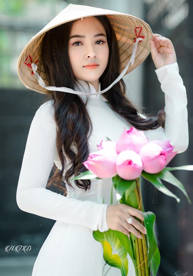 hồn việt hồn việt