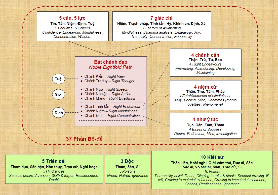 37 phần Bồ Đề giúp thành tựu Đạo Thánh  37 phần Bồ Đề giúp thành tựu Đạo Thánh