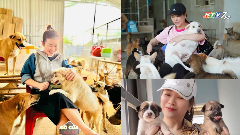 Diễn viên Kiều Linh cưu mang 400 chú chó tại Bà Rịa-Vũng Tàu Diễn viên Kiều Linh cưu mang 400 chú chó tại Bà Rịa-Vũng Tàu