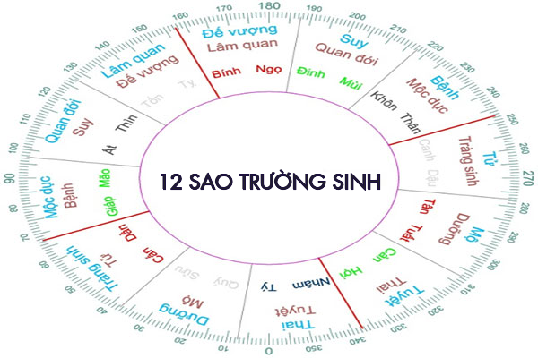 Vòng trường sinh theo Bát tự Phong Thủy Vòng trường sinh theo Bát tự Phong Thủy