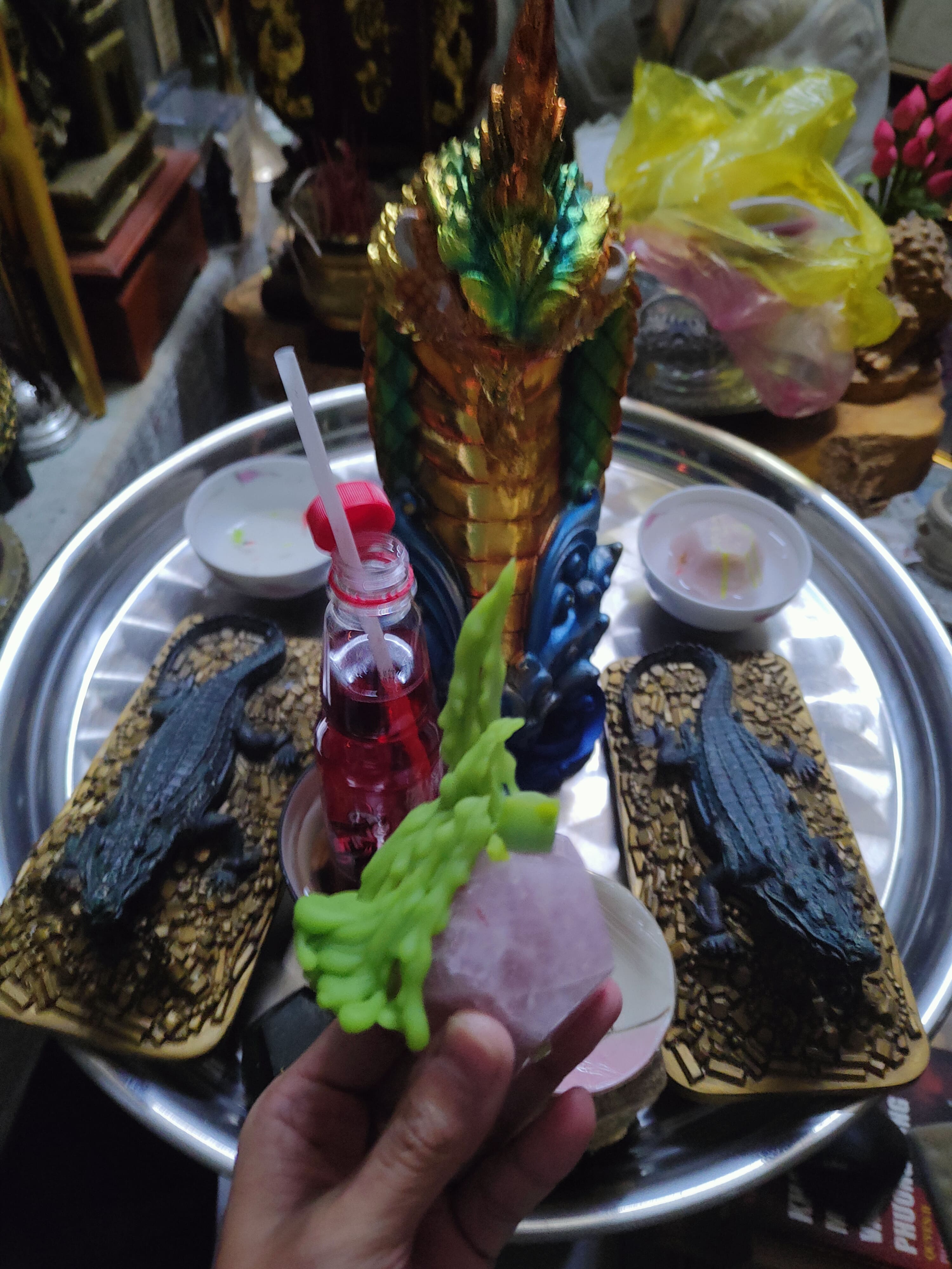 Cá sấu hỗ trợ chư Thiên Rồng Cá sấu hỗ trợ chư Thiên Rồng