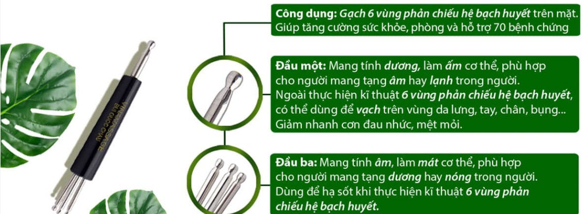 Cây sao chổi Cây sao chổi