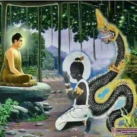 Chư Thiên Rồng cầu pháp Thế Tôn Chư Thiên Rồng cầu pháp Thế Tôn