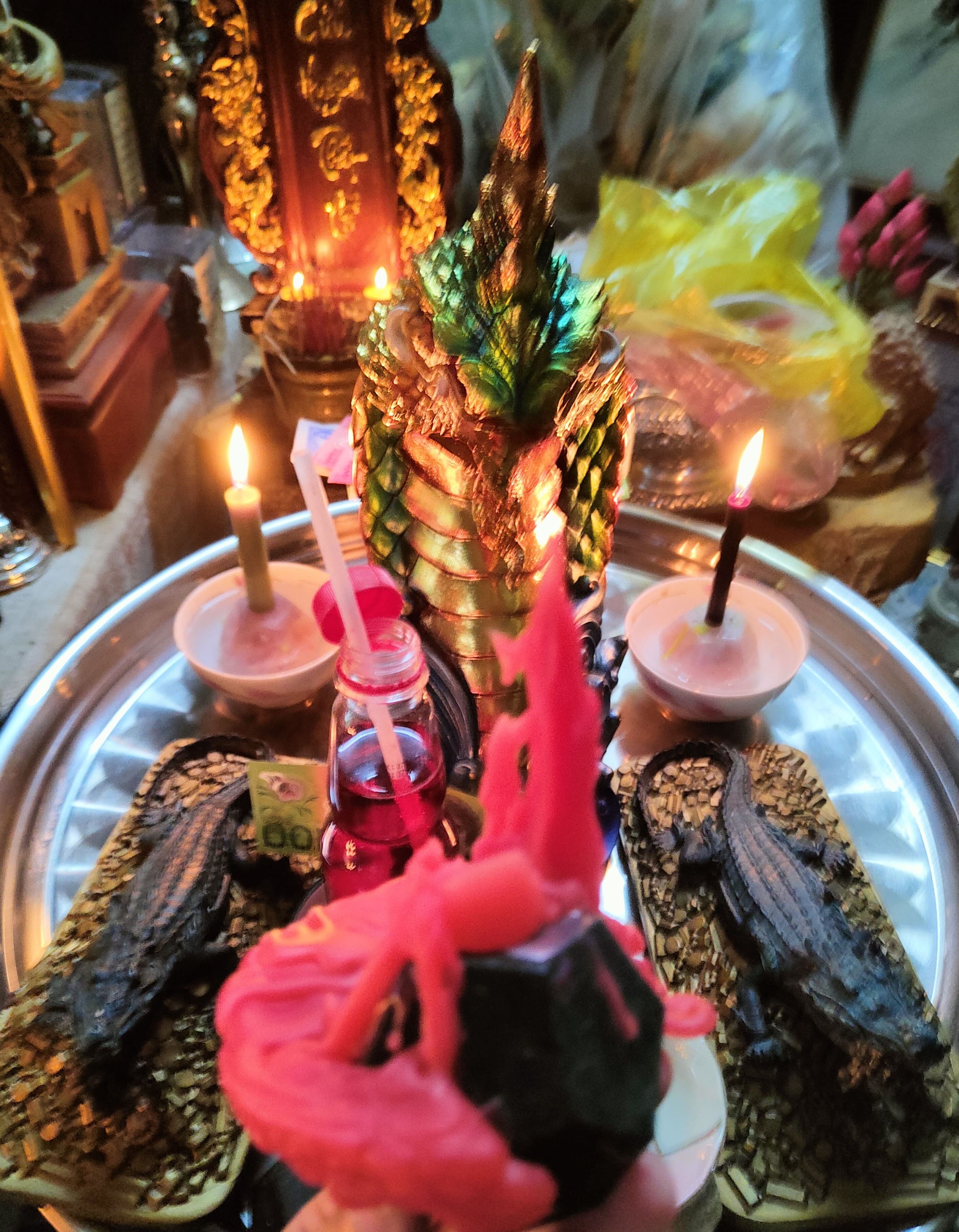 Chư Thiên Cá Sấu - vị độ tài lộc mạnh mẽ Chư Thiên Cá Sấu - vị độ tài lộc mạnh mẽ