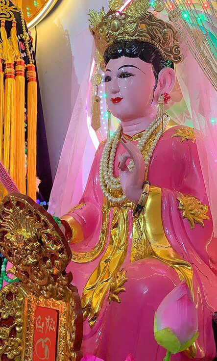 Cô chín Thanh Hóa Cô chín Thanh Hóa