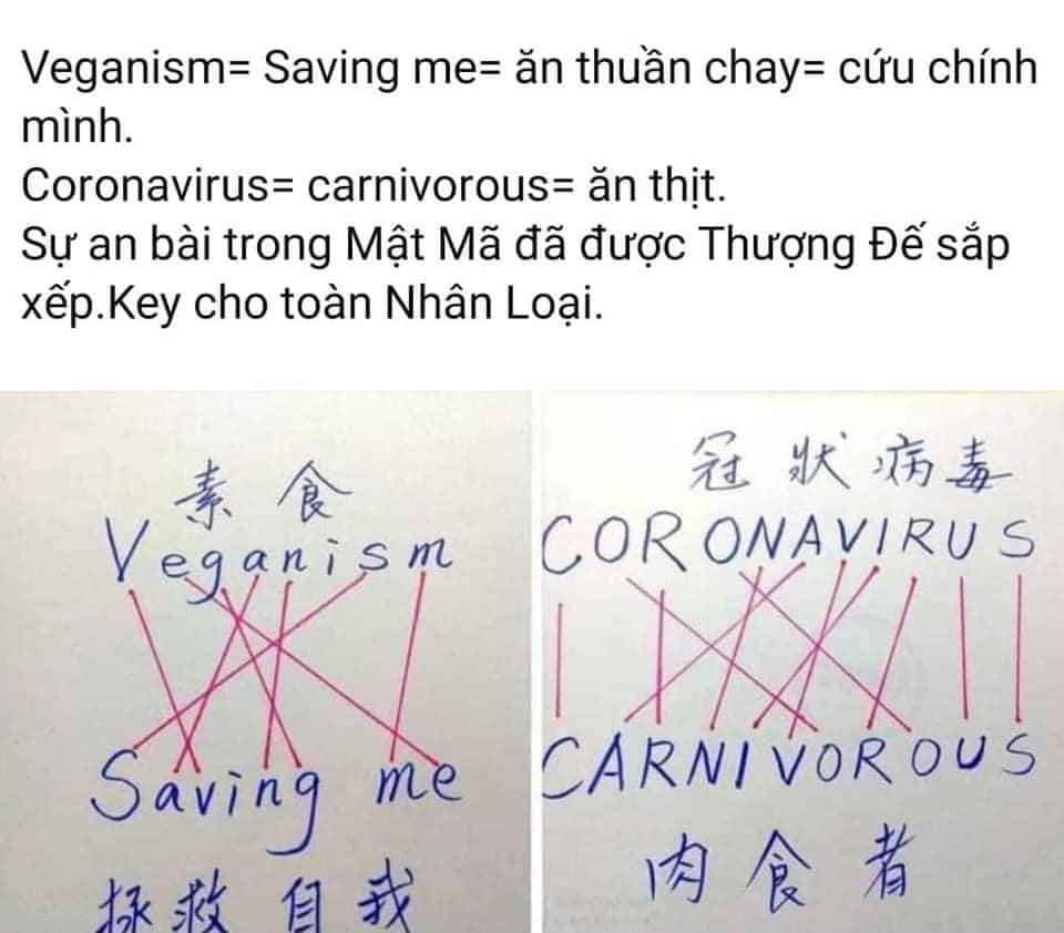 Ăn chay - phương pháp hóa giải Covid 19 tuyệt vời nhất Ăn chay - phương pháp hóa giải Covid 19 tuyệt vời nhất