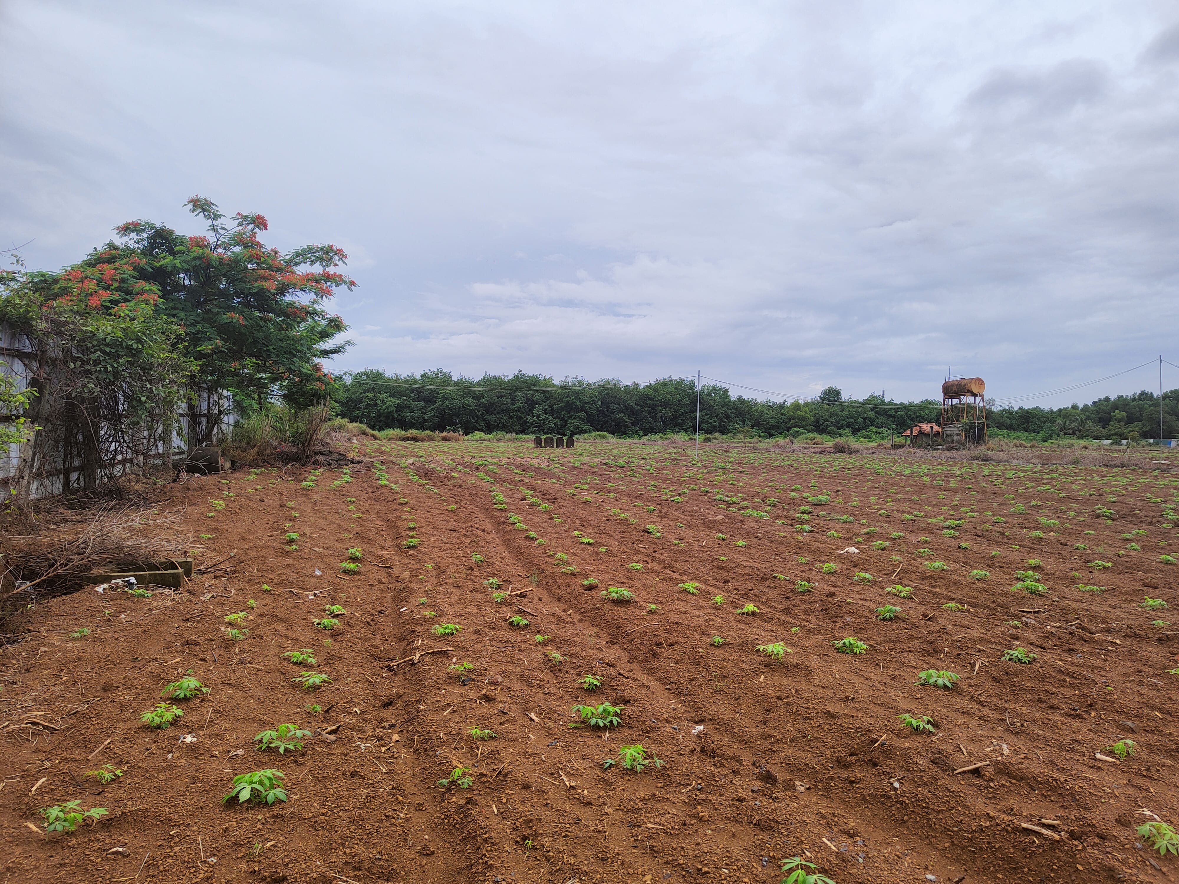 Cúng thí thực Cúng thí thực