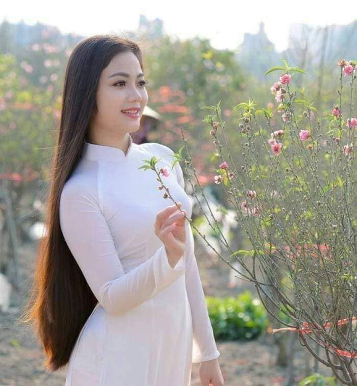 hồn việt hồn việt