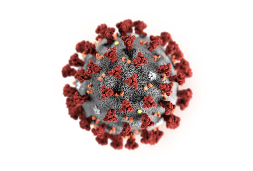 hình dạng nCOV hình dạng nCOV