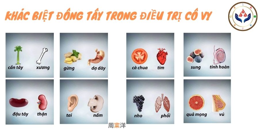 Khác biệt Đông Tây Y Khác biệt Đông Tây Y
