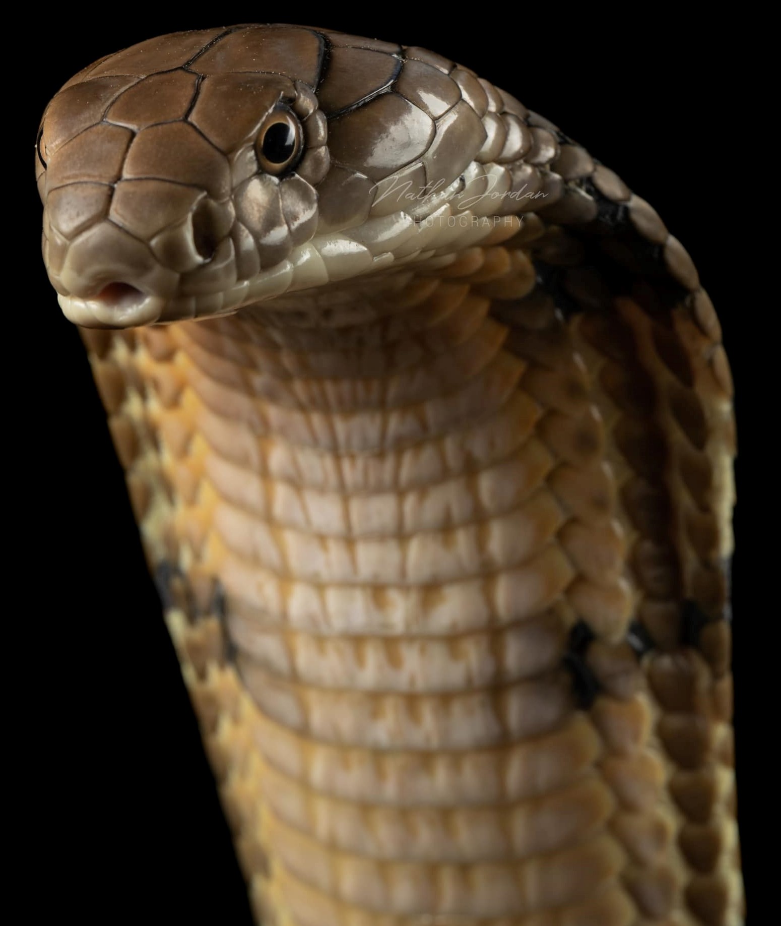 Nguy hiểm của Kundalini Nguy hiểm của Kundalini