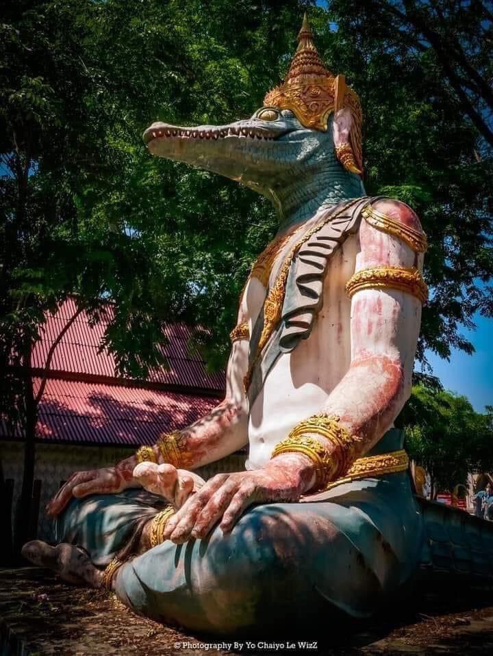 Lersi đầu cá sấu Lersi đầu cá sấu