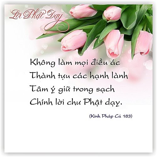 Đại ý Lời Phật dạy Đại ý Lời Phật dạy