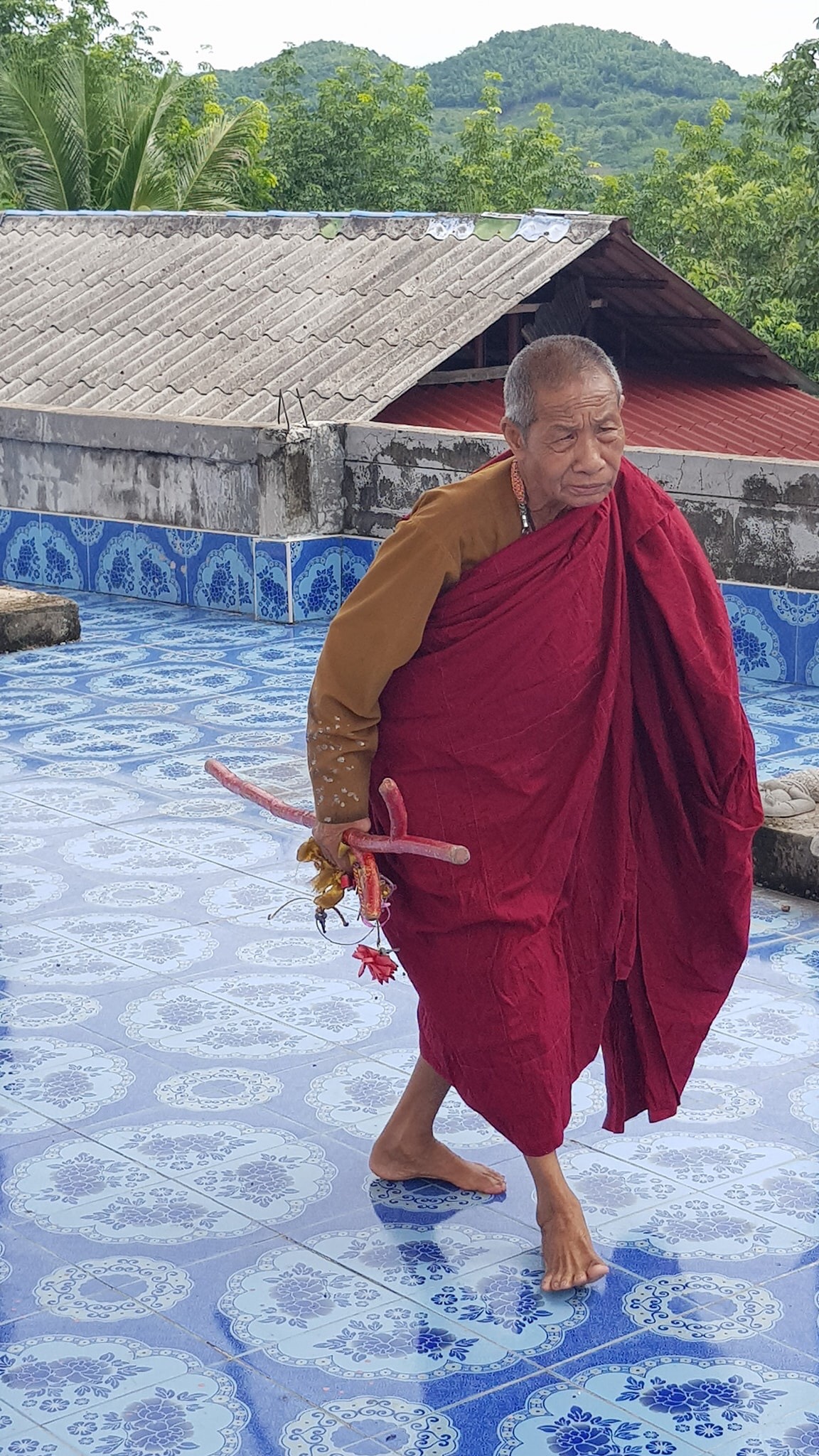 LP Simpalee vào rừng LP Simpalee vào rừng