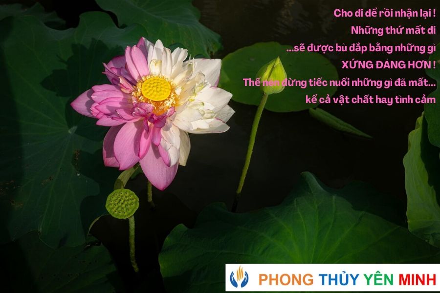 Luật cho đi - cách tích lũy phước báu nhanh và hiệu nghiệm nhất ! Luật cho đi - cách tích lũy phước báu nhanh và hiệu nghiệm nhất !