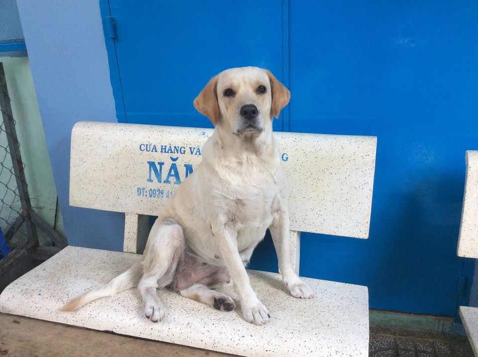 Mani - điển hình của phớt lờ tất cả bơ đi mà sống Mani - điển hình của phớt lờ tất cả bơ đi mà sống