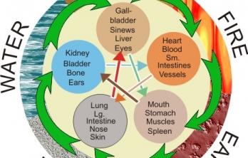Ngũ hành lá số Bát tự Ngũ hành lá số Bát tự