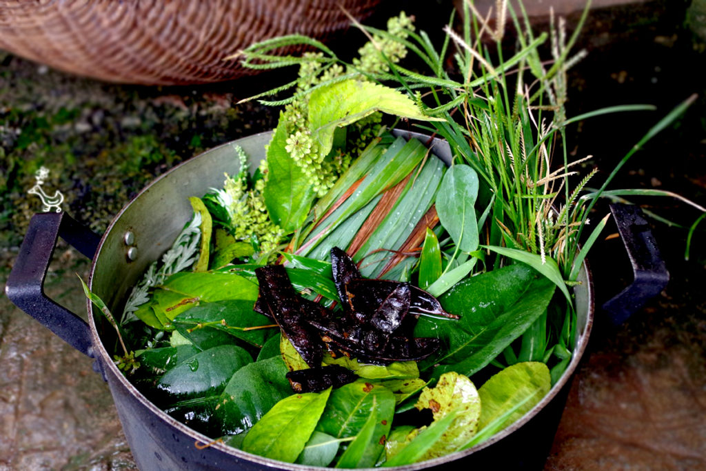 nước tắm 7 loại lá nước tắm 7 loại lá