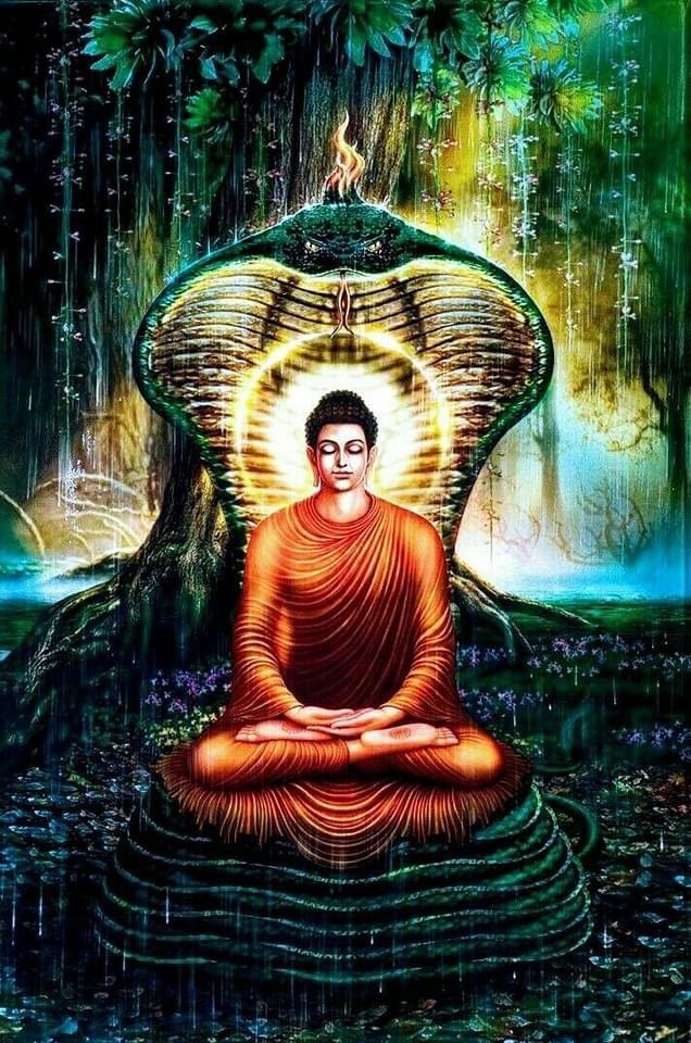 Hình ảnh Phật được Vua Rắn che chở trong mưa bão Hình ảnh Phật được Vua Rắn che chở trong mưa bão