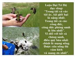 Phóng sanh thả cá ngày Thiên Xá Phóng sanh thả cá ngày Thiên Xá