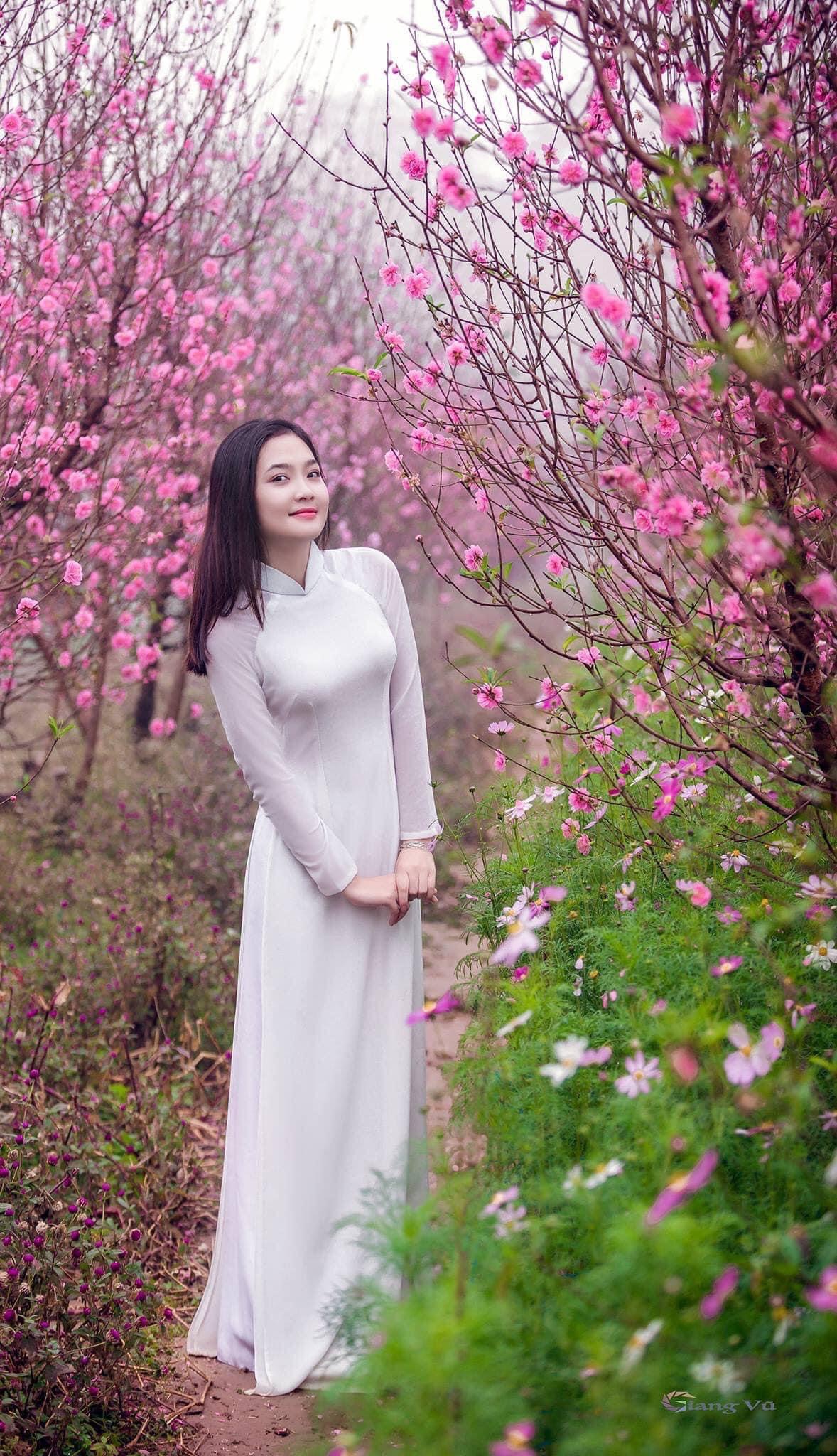 Năng phóng sanh để đời càng thêm xuân  Năng phóng sanh để đời càng thêm xuân