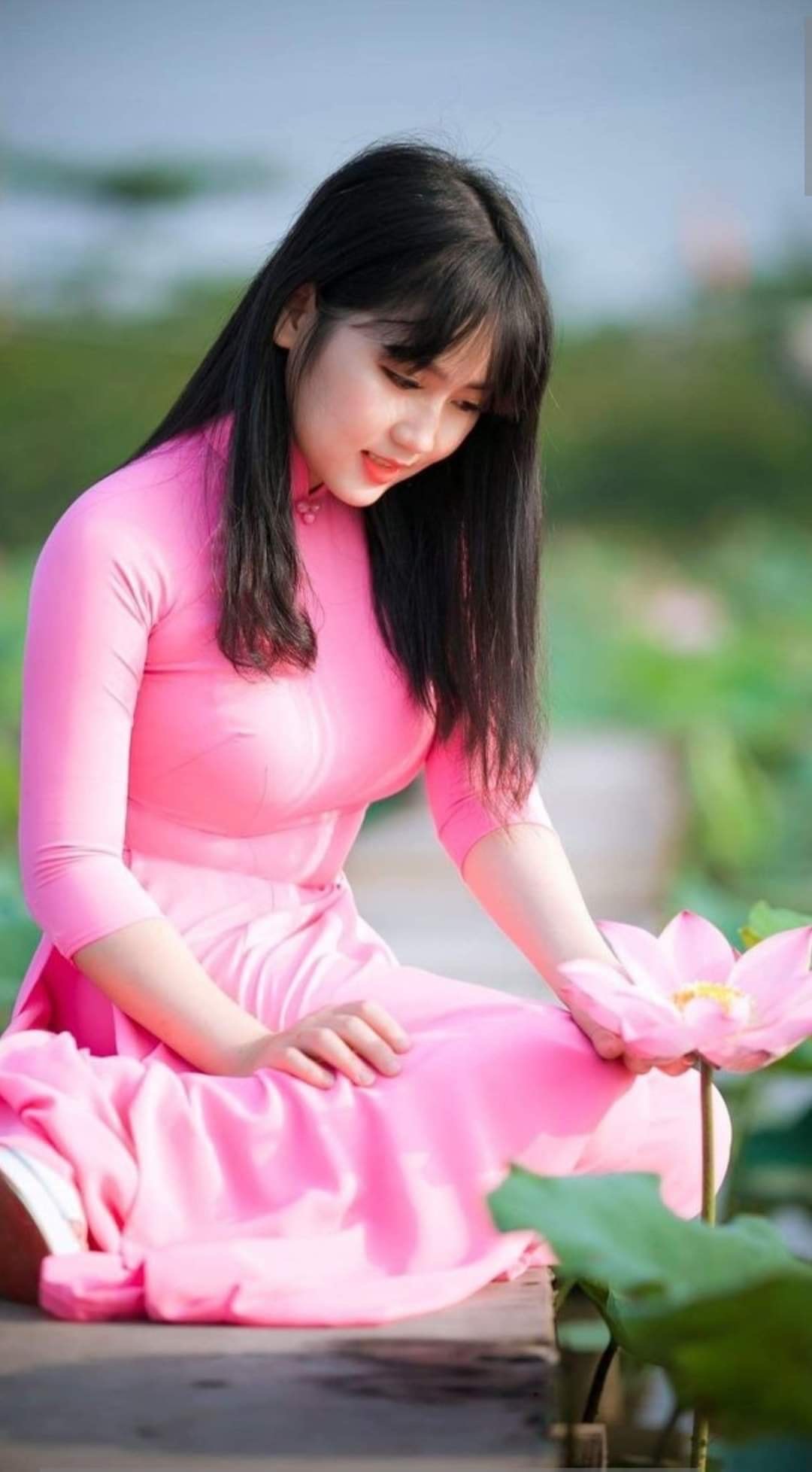 hồn việt hồn việt