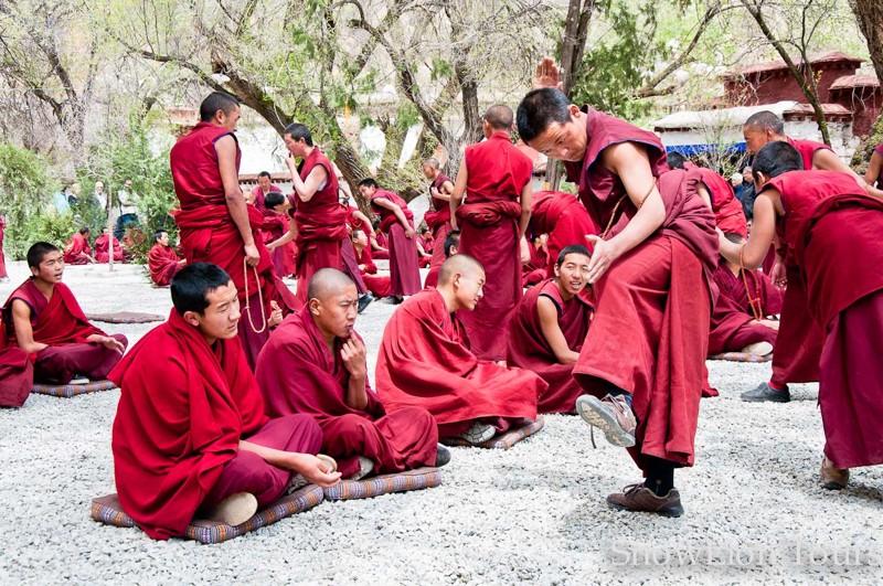 chư tăng tu viện sera tranh biện chư tăng sera monastery tranh biện